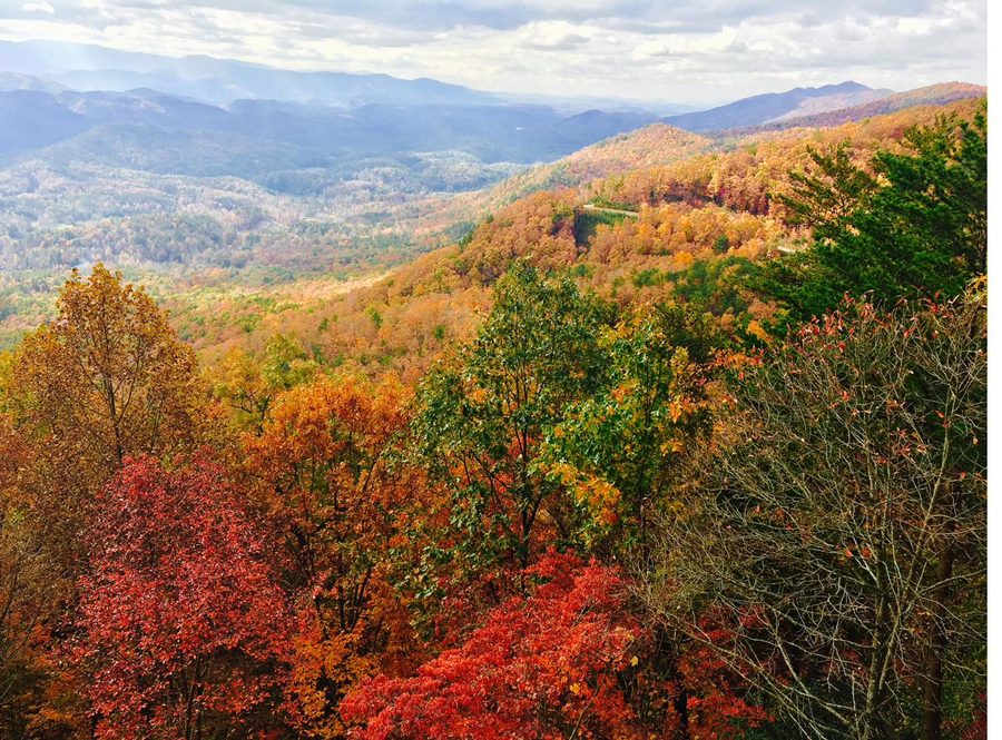 Fall foliage in the Smoky Mountains